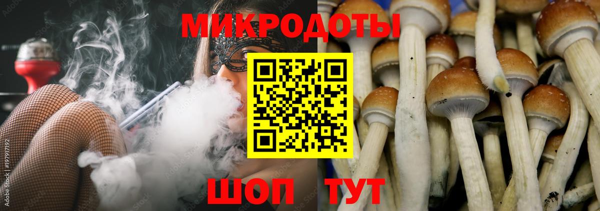 Галлюциногенные грибы Psilocybe  Вход с VPN  Шахты  Галлюциногенные грибы Psilocybe 